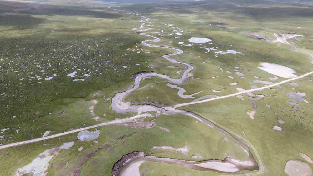 这是位于青海省玉树藏族自治州杂多县的长江南源当曲河道（2019年8月6日摄，无人机照片）。