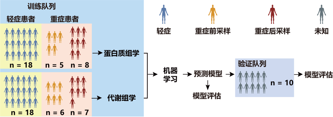 实验设计及流程